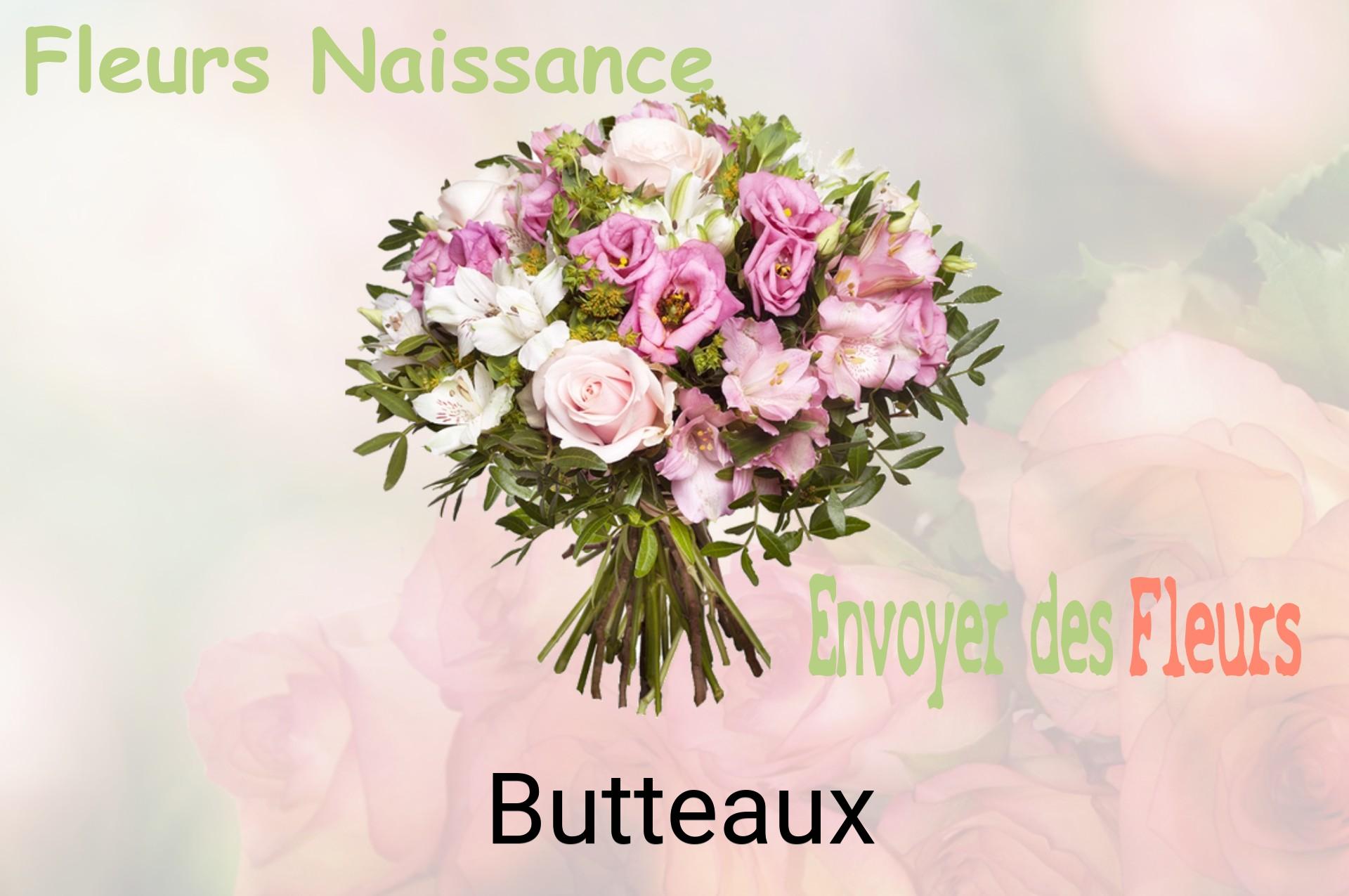 Bouquet de fleurs de naissance livré à Butteaux